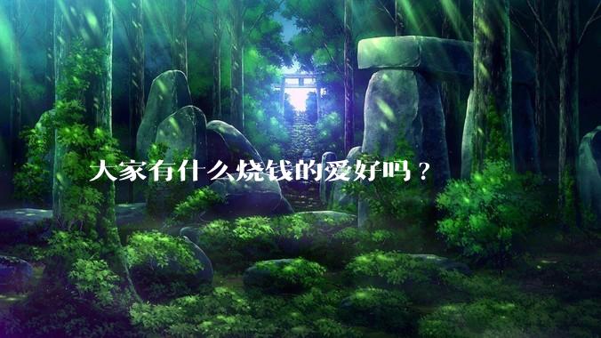 大家有什么烧钱的爱好吗?
